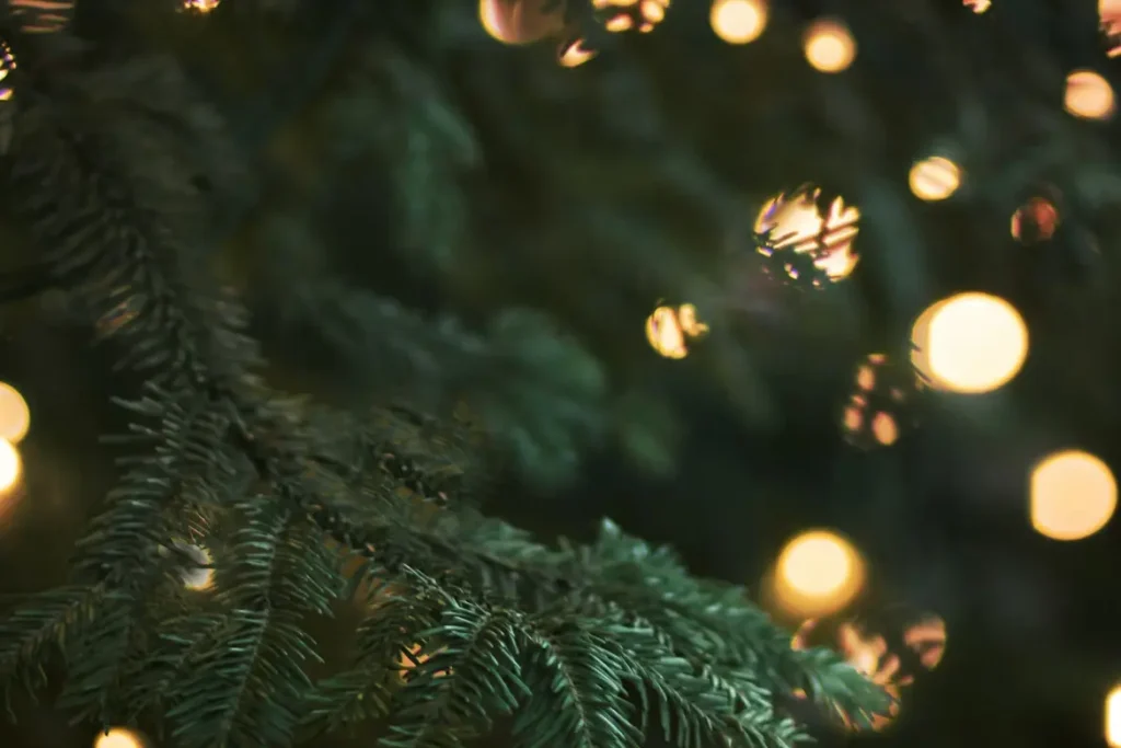 Christmas opening