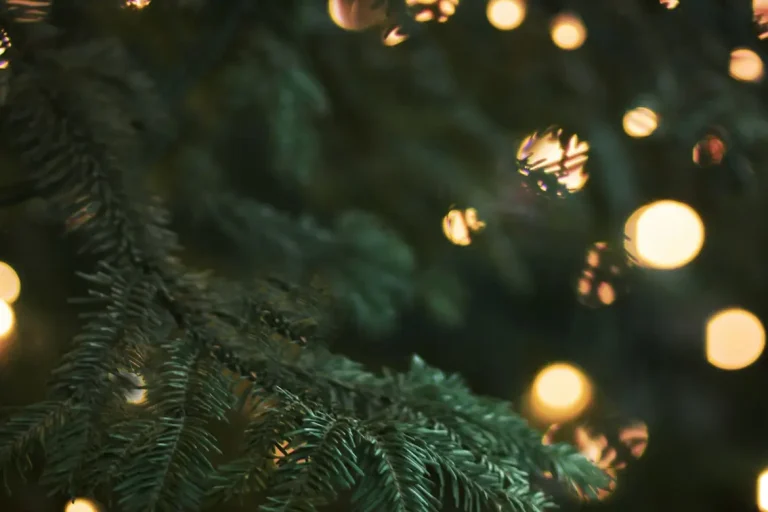 Christmas opening